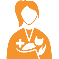 Microchip: Todo lo que necesitas saber para ponerle un microchip a tu gato