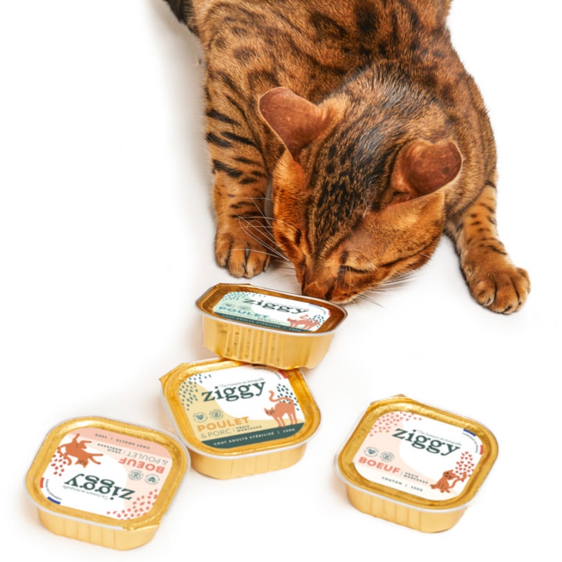 Comida para gatos Ziggy: nuestra opinión veterinaria