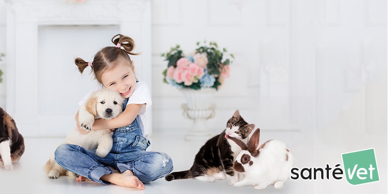 Opinión sobre Assur O'Poil: seguro para mascotas