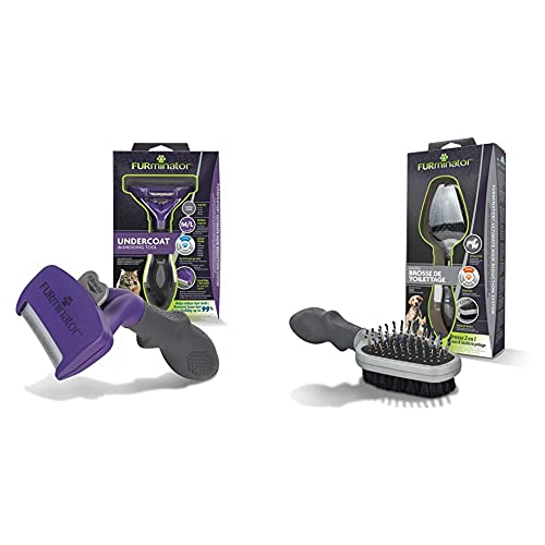 ¿Cómo haces brillar el pelaje de tu gato? ¿Cómo haces brillar el pelaje de tu gato?