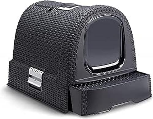 ¿Cómo se evitan los olores de la arena para gatos? 5 métodos infalibles