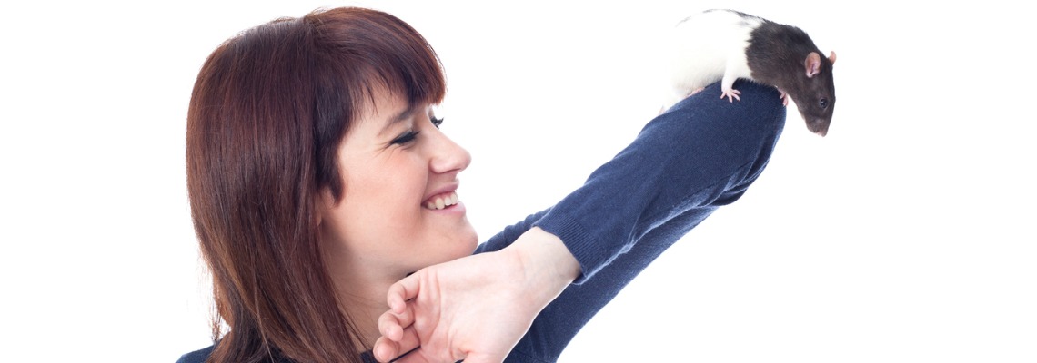 Peso de la rata: características, manejo, curva de crecimiento y problemas de salud