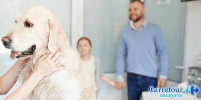 Opinión sobre Assur O'Poil: seguro para mascotas