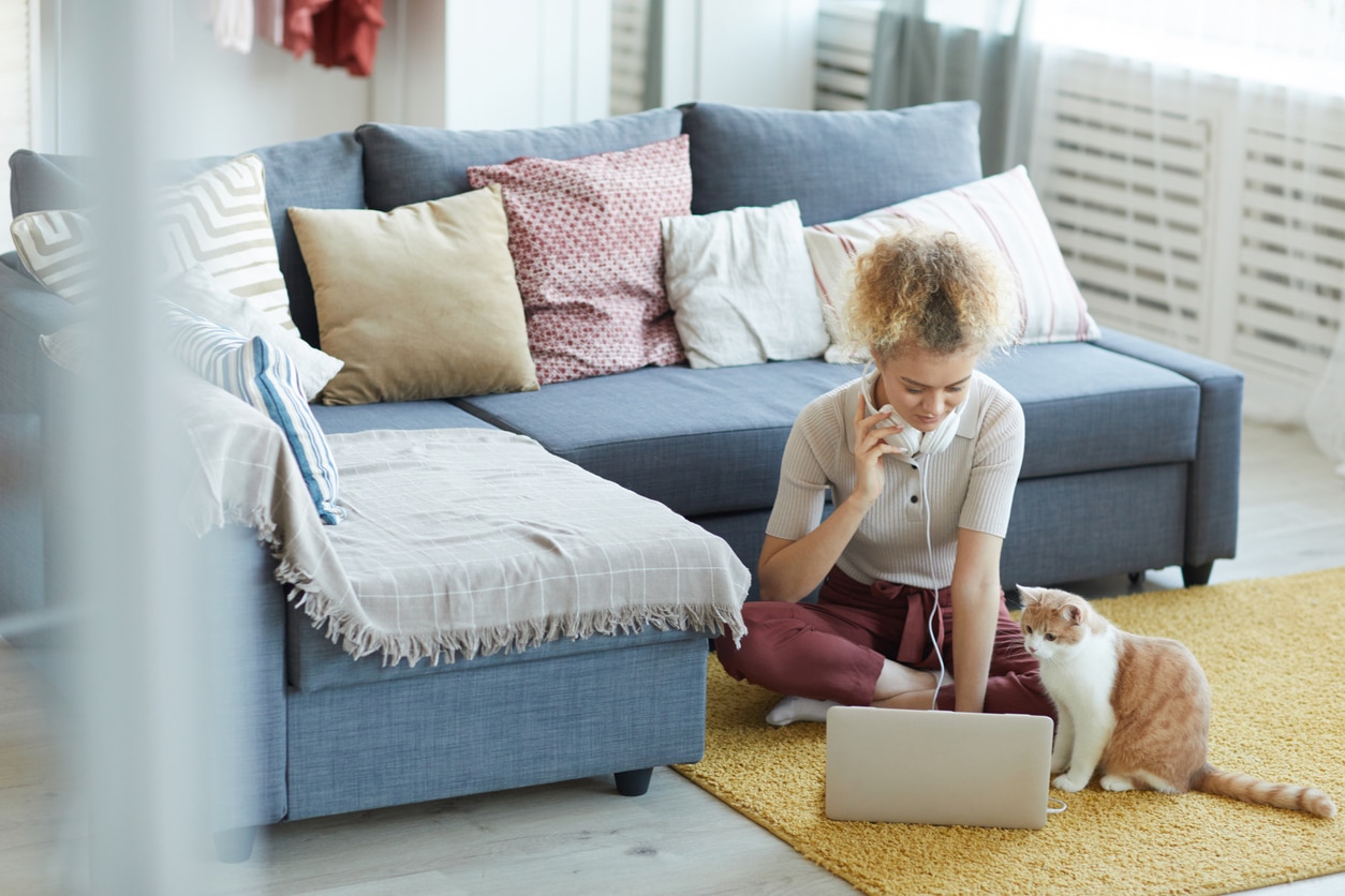 Cautiverio: ¿Están los gatos cansados ​​de tenernos en sus patas?