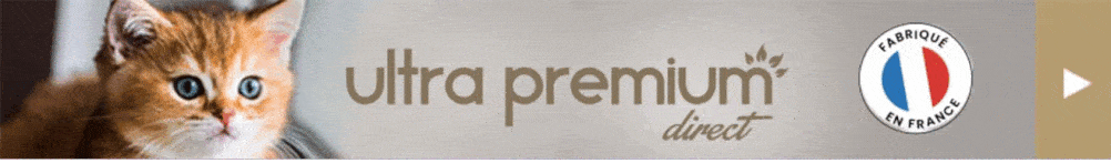 ¿Cómo se evitan los olores de la arena para gatos? 5 métodos infalibles