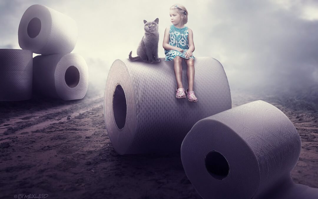 ¿Cómo se evitan los olores de la arena para gatos? 5 métodos infalibles