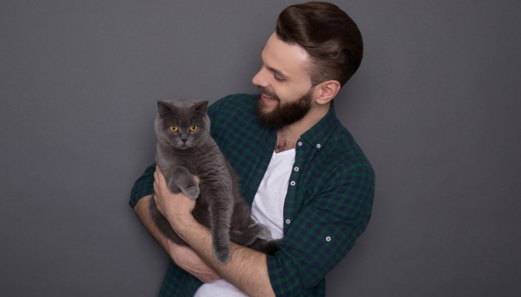 pelo corto británico pelo corto británico