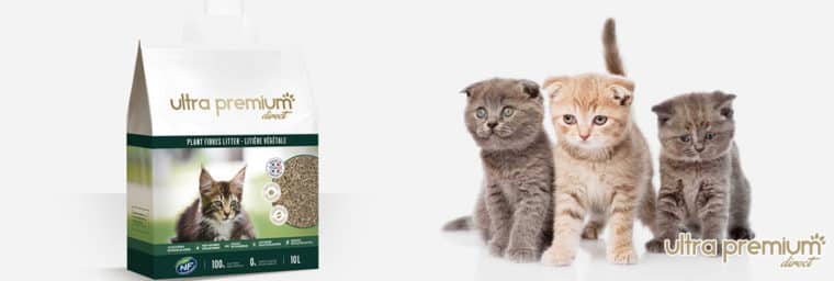 Pienso seco sin cereales para gatitos: guía comparativa y de compra