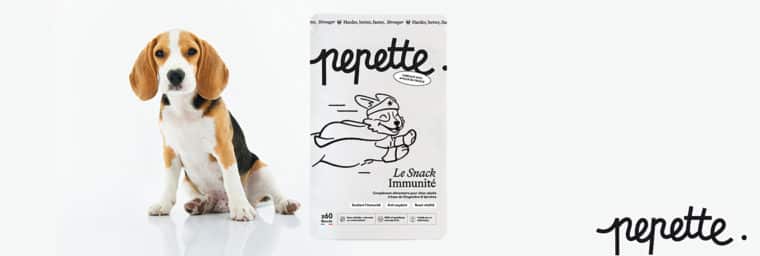 Suplementos nutricionales para perros viejos Suplementos nutricionales para perros viejos
