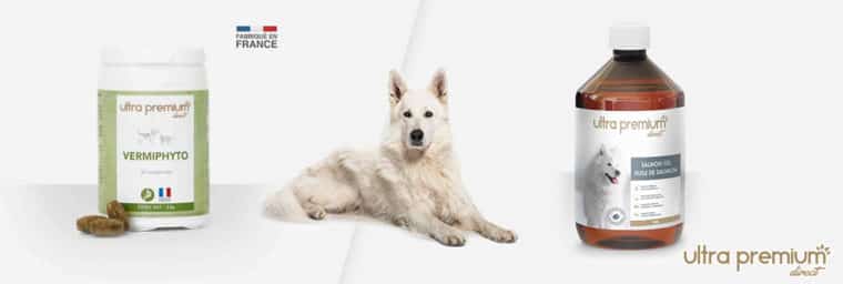 Suplementos nutricionales para perros viejos Suplementos nutricionales para perros viejos