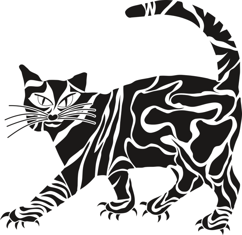 Enfermedad por arañazo de gato: todo lo que necesitas saber sobre la terrible bartonelosis