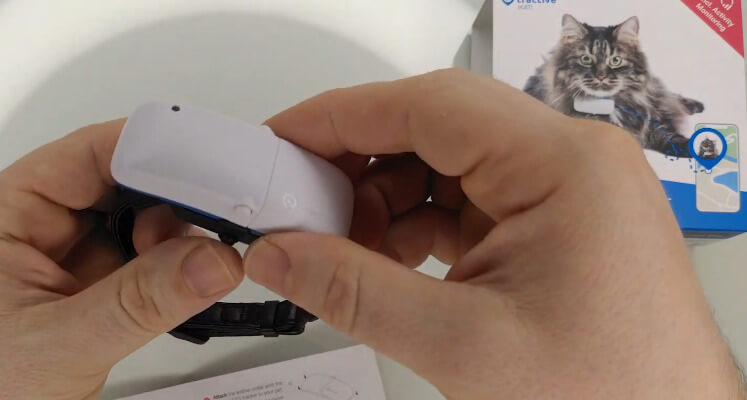 Tractive Cat Tracker 2021: nuestra prueba y revisión